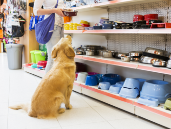 Pet Supplies Spend Less to Get More Colonial Veterinary Clinic